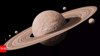 Saturn Return: Astrological reason feels late 20