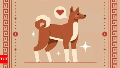 Weekly Horoscope (26 May – June 01): Monkey prophecies for Chinese zodiac