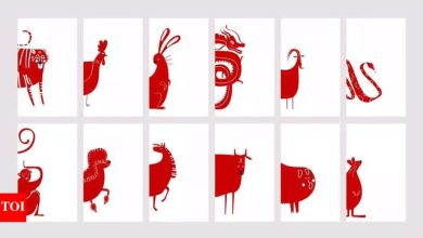 Horoscope today, May 28, 2025: Daily predictions based on your Chinese zodiac