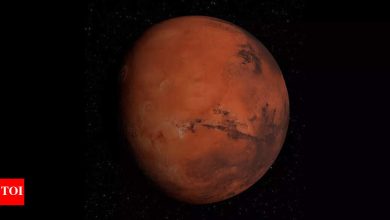 7 remedies for 2025 – Year of Mars (Mars)
