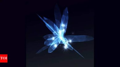 Crystals that improve peace in the house