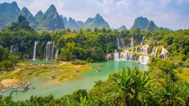 Top 5 zodiac sign with a natural love for wildlife and adventure