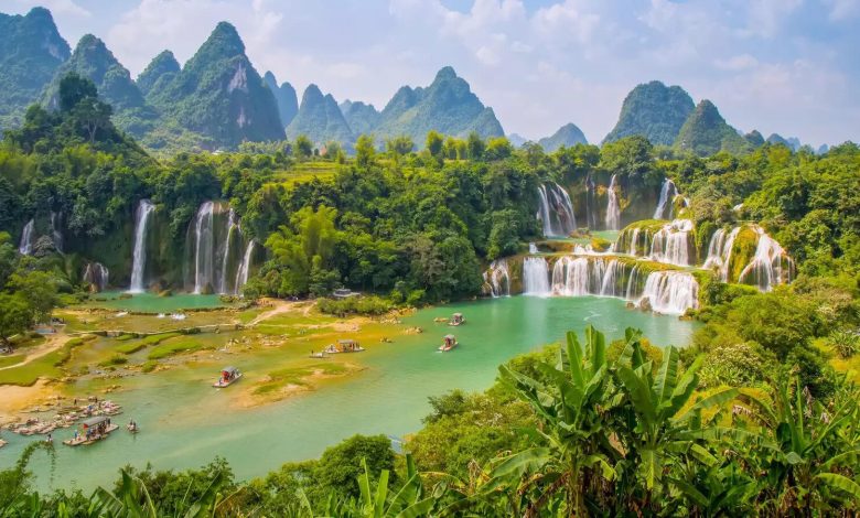 Top 5 zodiac sign with a natural love for wildlife and adventure Top 5 zodiac sign with a natural love for wildlife and adventure