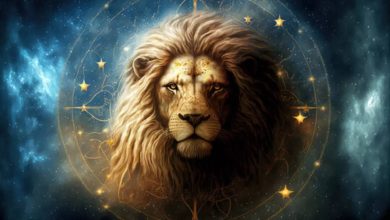 You take the inner baby wound; Based on your zodiac