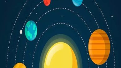 5 zodiacs indicated the most to ignore and ignore personal life
