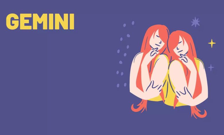 Jeminis as pranksters: look out for these tricks they can play Jeminis as pranksters: look out for these tricks they can play