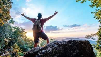 Top 4 signs that like to search with heart