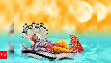 Neerajla Ekadashi 2025: Doz and Donts to follow.