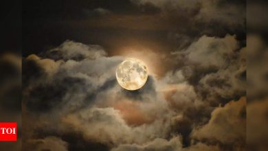 Full moon on June 10, 2025: Universe Guidance for all zodiacs