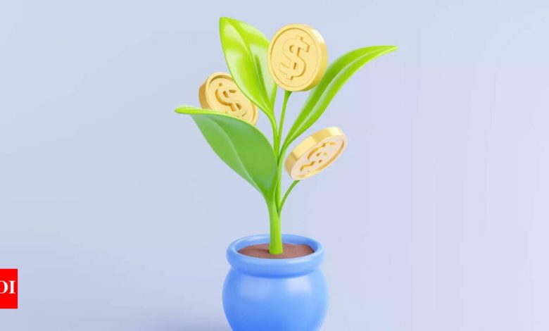 Money Plant Vastu Tips: Want to keep money plant at home? Follow these vastu tips. Money Plant Vastu Tips: Want to keep money plant at home? Follow these vastu tips.