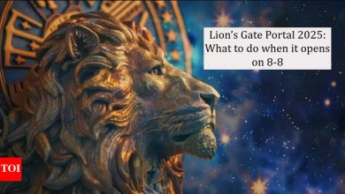 Lion’s gate portal 2025: What to do when opening at 8-8