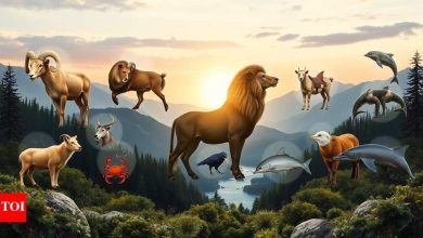 Zodiac signal and their soul animal
